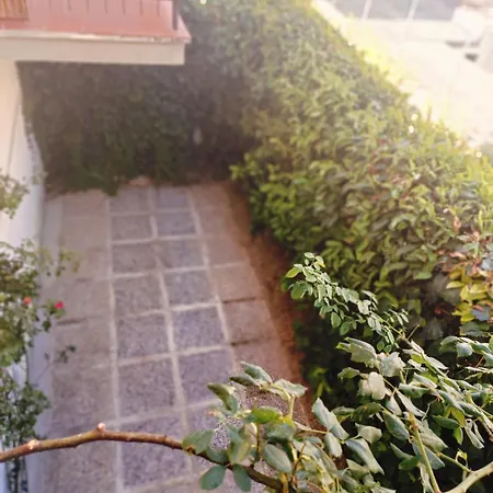 Il Roseto Di Anna شقة تالياكوتسو